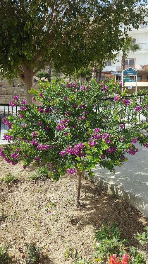 Lazaros Pissouri Apartments Luaran gambar